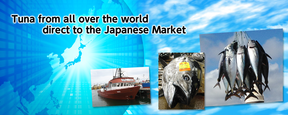 Tuna from all over the world direct to Japanese Market